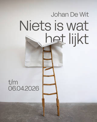 Johan de Wit, The glorious failure